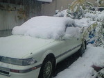 200811191546000.jpg