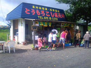 とうもろこし.jpg