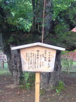 日本一.jpg