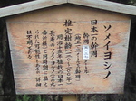 日本一太い.jpg